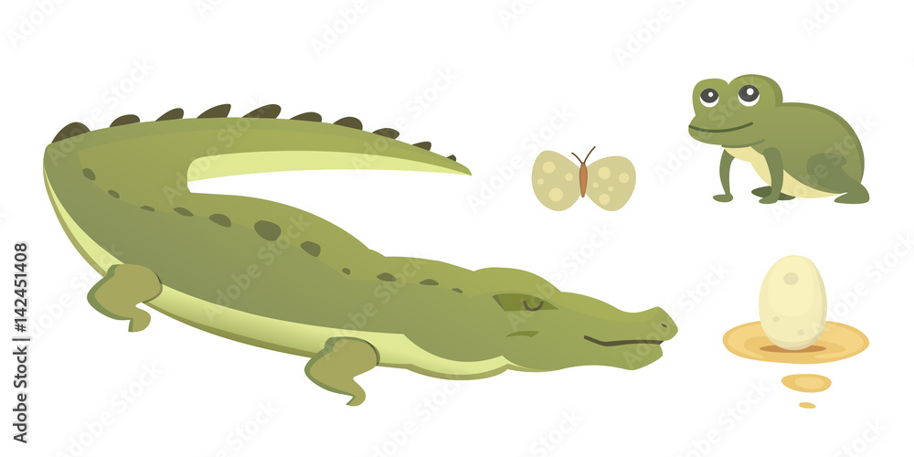 Fototapeta premium Cute Crocodile set. Aligator vector cartoon illustration