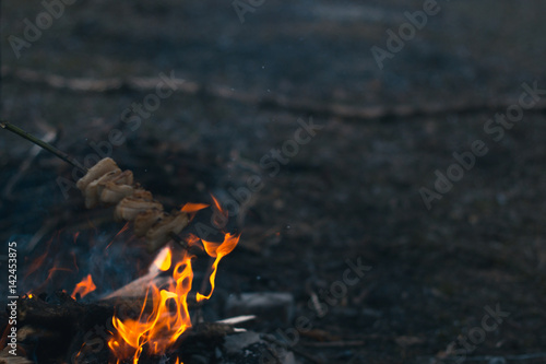 Bonfire in the spring on the nature