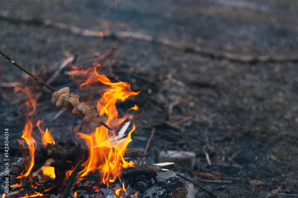Bonfire in the spring on the nature Bonfire in the spring on the nature