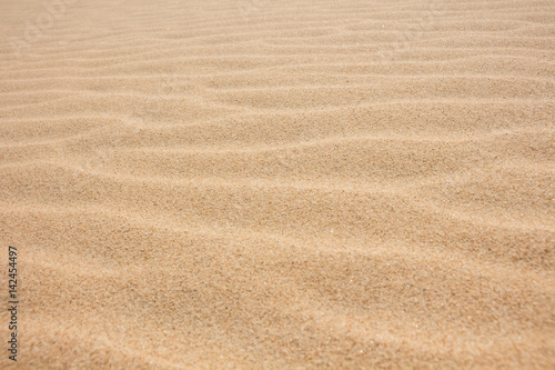 Sand dunes closeup