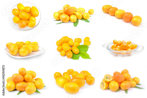 Set of cumquats