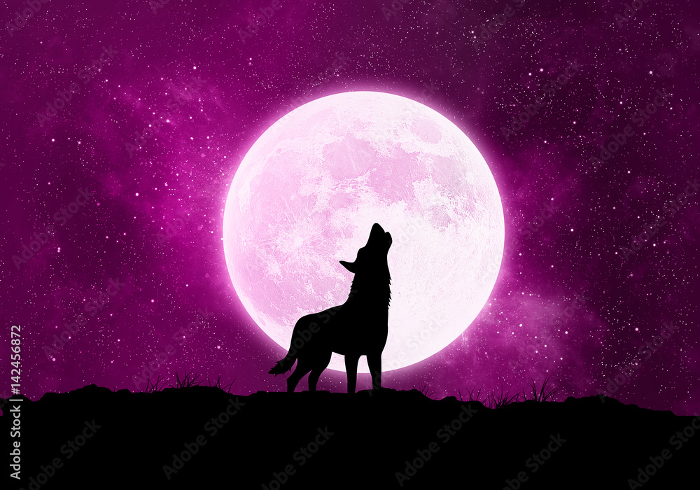 Naklejka premium Konzept Wolf, Werwolf vor dem Mond bei Nacht