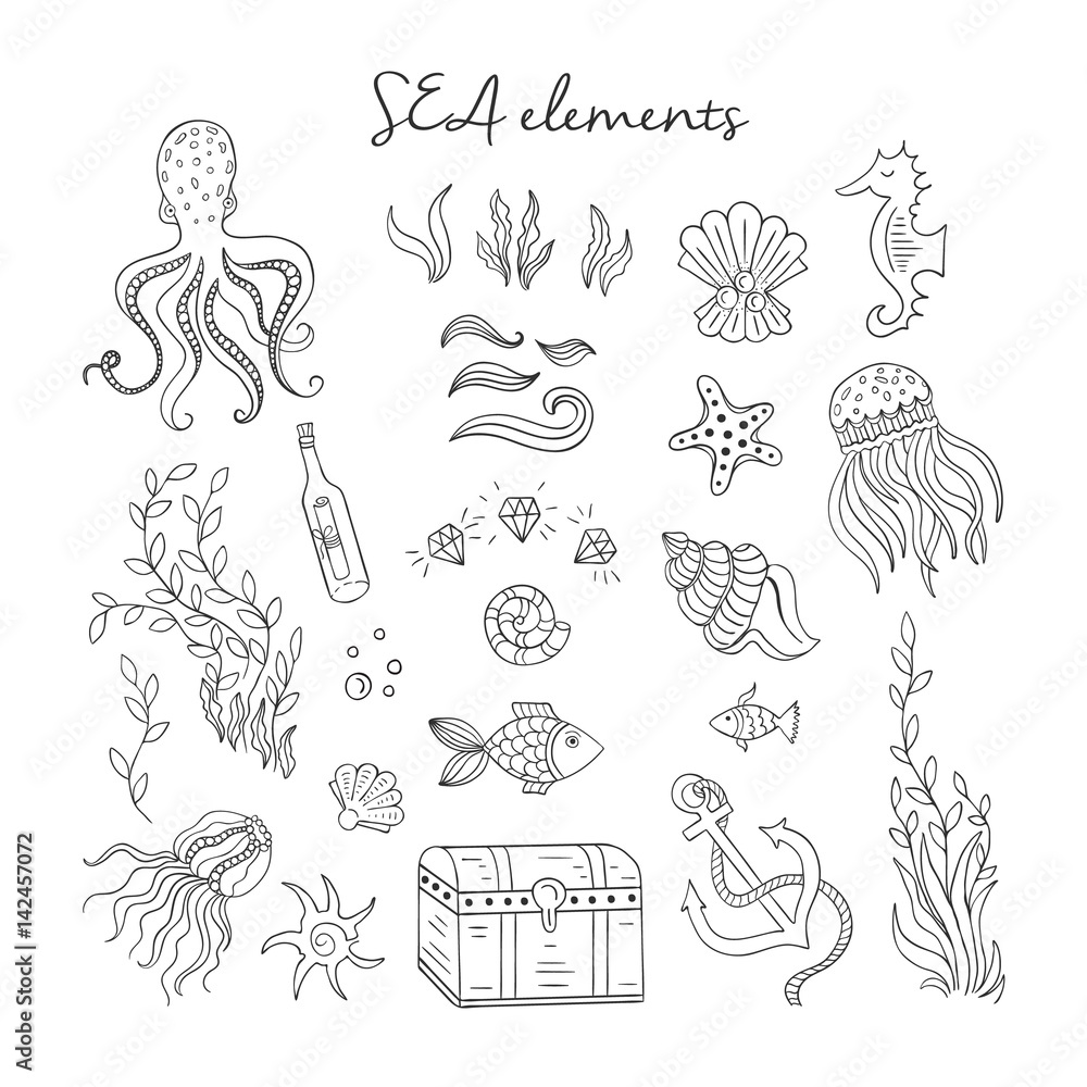 Sea outline elements