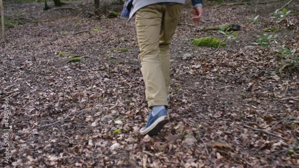 4K Man walking uphill in the forest amongst brown autumn leaves 4K Man walking uphill in the forest amongst brown autumn leaves