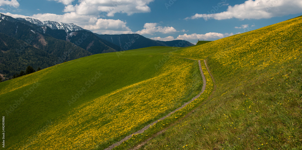 Fototapeta premium Field in Funes Valley