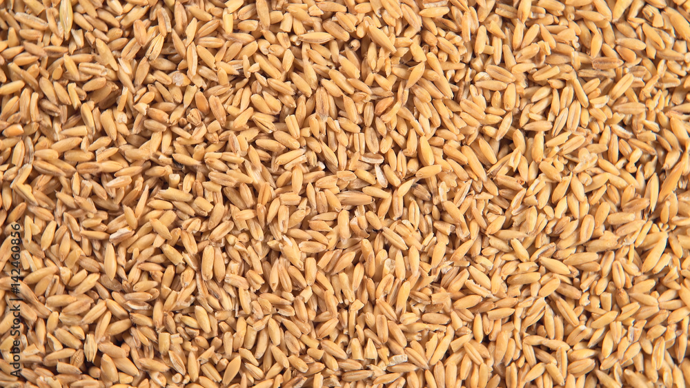 TOP VIEW: Oat grains TOP VIEW: Oat grains