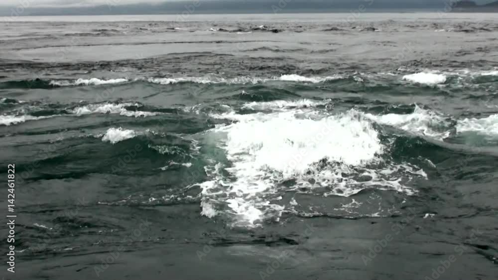 Whirlpool of water of Pacific Ocean on background amazing landscapes Alaska. Beautiful rest and tourism in a cool climate. Unique picture of nature in America. Whirlpool of water of Pacific Ocean on background amazing landscapes Alaska. Beautiful rest and tourism in a cool climate. Unique picture of nature in America.