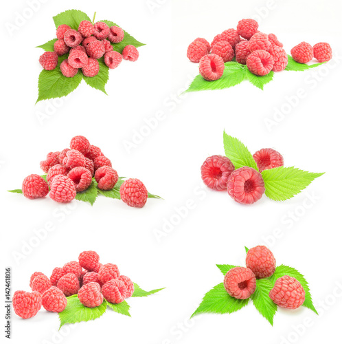 Group of rasp berry close-up isolated on white background