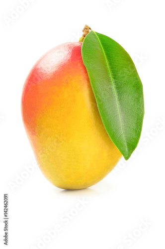 Red mango isolated on white