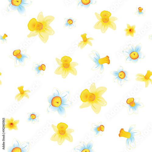 Pattern of yellow and white daffodils different sizes, flowers on white background. White and yellow narcissus flowers. Vector illustration