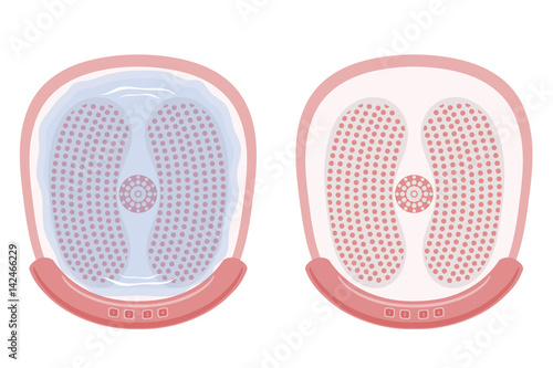 Vector illustration of a device for hydromassage of feet. Vibration bath for feet hydromassage. Cartoon style