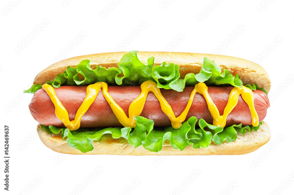 Hot dog with big sausage and salad isolated on white background Hot dog with big sausage and salad isolated on white background