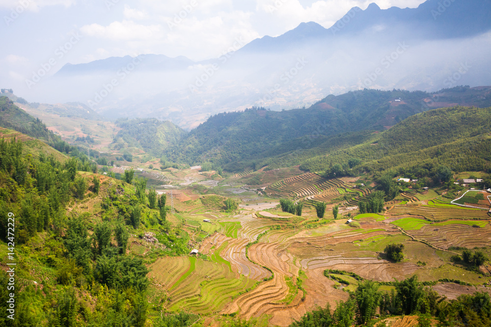 Rice paddies in the mountains near Sapa village, Northern Vietnam.