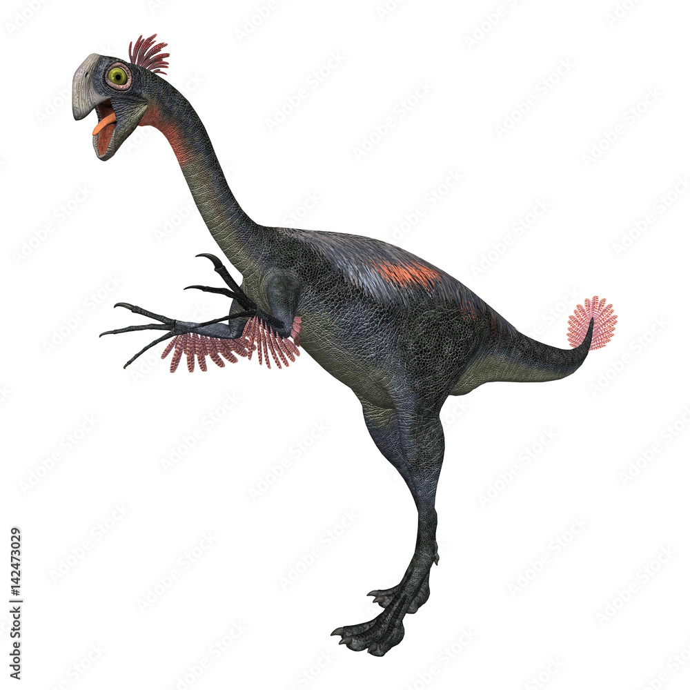 3D Rendering Dinosaur Gigantoraptor on White 3D Rendering Dinosaur Gigantoraptor on White