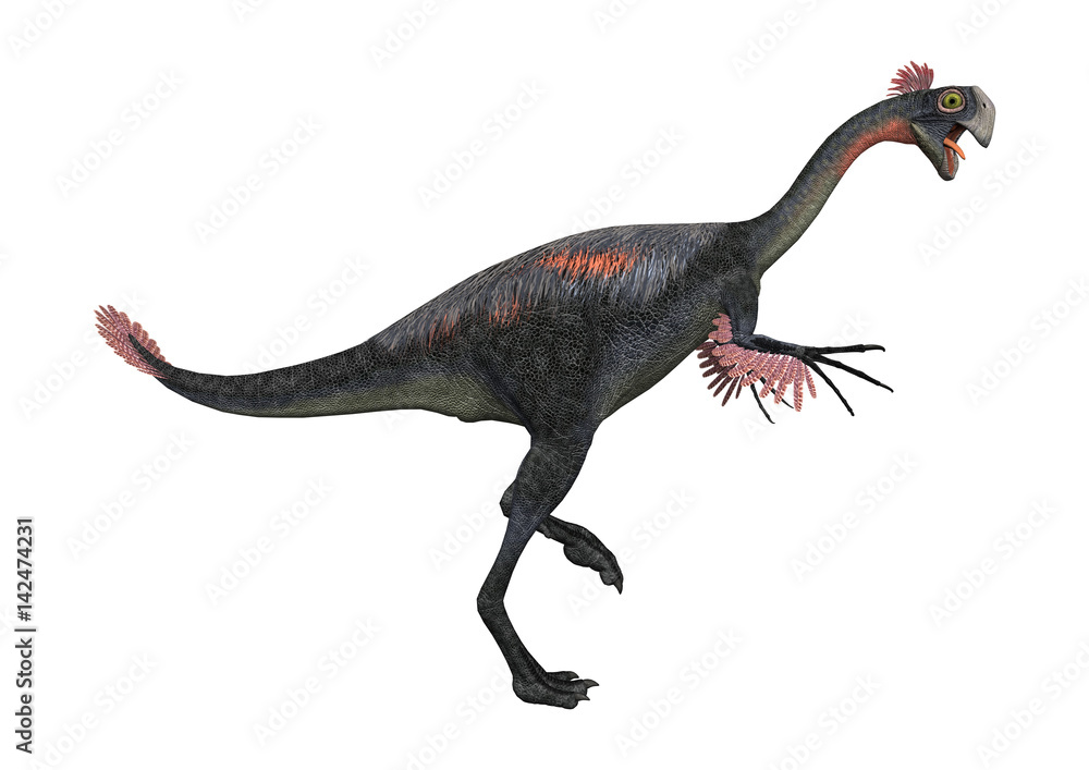 3D Rendering Dinosaur Gigantoraptor on White 3D Rendering Dinosaur Gigantoraptor on White