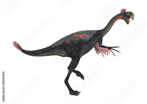3D Rendering Dinosaur Gigantoraptor on White © photosvac