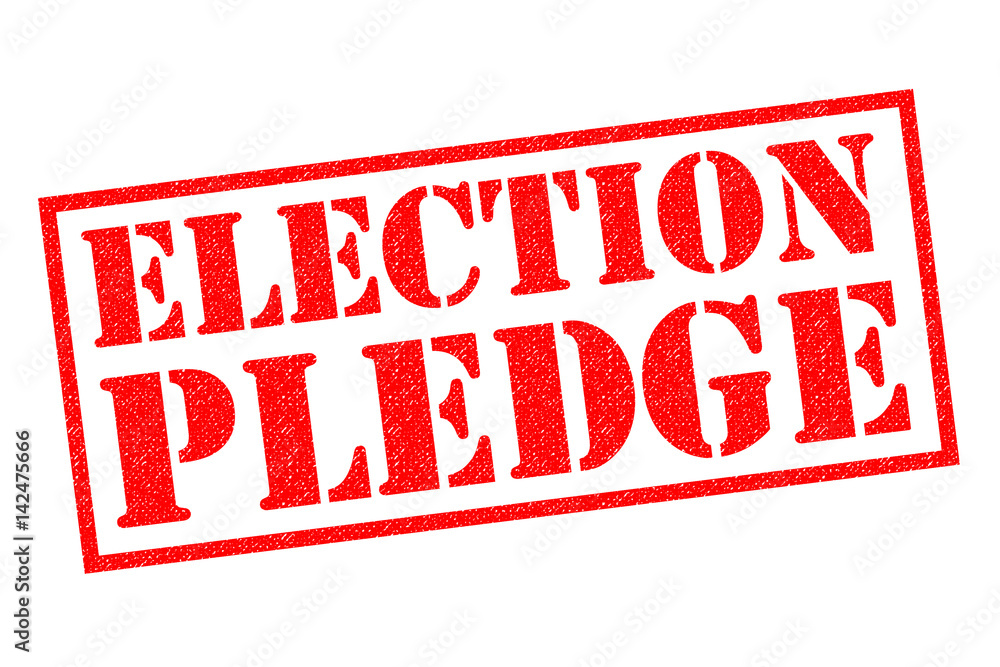 ELECTION PLEDGE Rubber Stamp