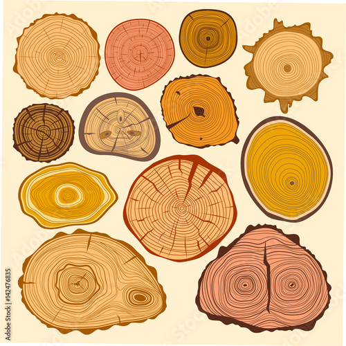 Wood slice texture tree circle cut raw material vector set.