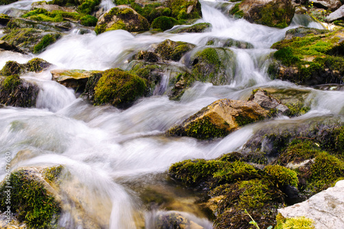 landscape with mountains, forest and a river in front. beautiful scenery