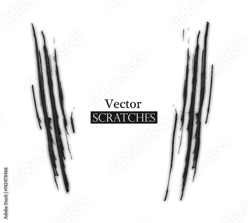 Claw scratch on white background. Vector illustration