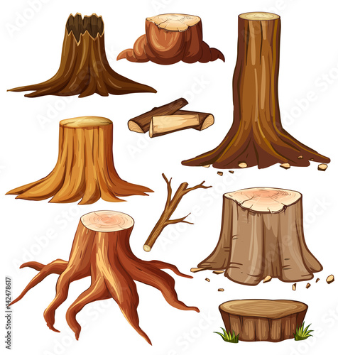 Different stump trees on white background