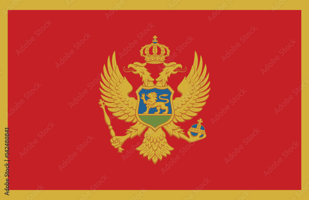 Fototapeta premium Vector of amazing Montenegro flag.