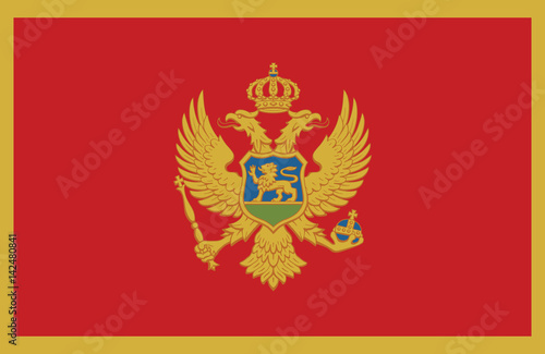 Vector of amazing Montenegro flag.