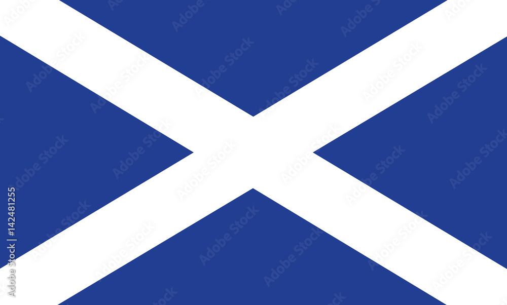 Naklejka premium Vector of amazing Scottish flag.
