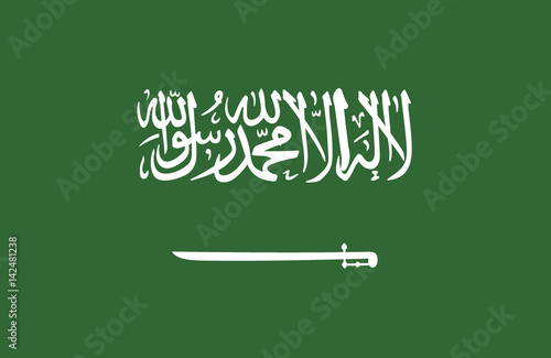 Vector of amazing Saudi Arabian flag.