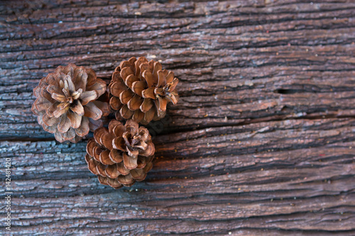 pine cones on dark wood background