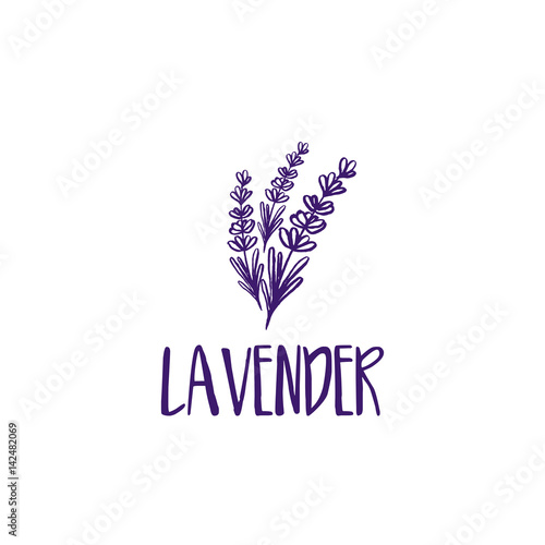 Fototapeta Naklejka Na Ścianę i Meble -  Template logo design of abstract icon lavender. Vector illustration
