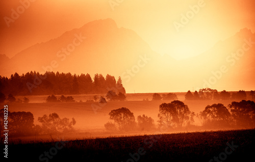 Wallpaper Mural A beautiful, colorful, abstract mountain landscape with trees in a red tonality. Decorative, artistic look. Torontodigital.ca