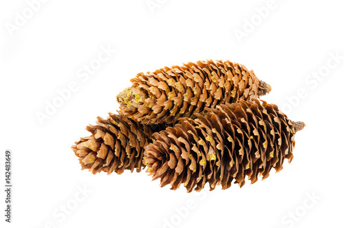 Pine cones on white background isolated