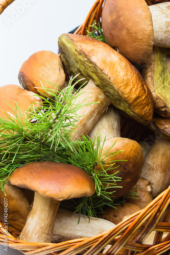 Basket with porcini mushrooms