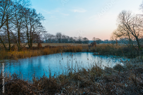 Tranquil pond in a frosty winter landscape