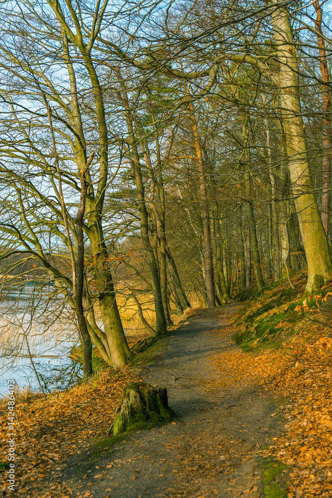 Pathway along the bank of a winter or autumn lake