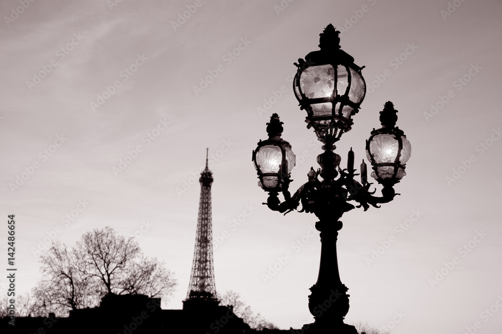 Obraz premium Illuminated Lamppost on Pont Alexandre III Bridge with the Eiffel Tower in the background in Paris; France