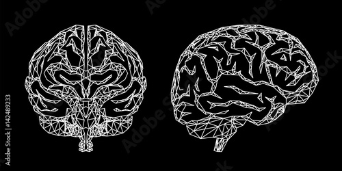 Cervello umano, illustrazione vettoriale sullo sfondo nero, vista frontale e laterale
