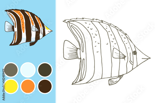 Coloring book, children game design. Vector zebra fish, coral fish hand drawn colorful illustration. Sketch with western talma fish, marine animal photo