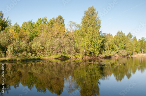 Forest lake with reflection of trees and sky in the water