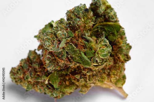 Close up of Green Crack medical marijuana bud