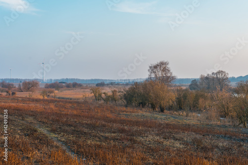 nature landscape in winter with some wind mills in the background © Robert Herhold