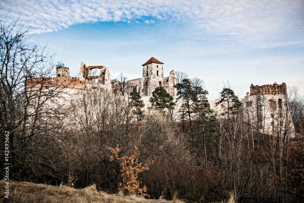 Castle Tenczyn. Ruins old medieval castle in Rudno, Poland. Characteristic type of construction the castle in the style of eagle nests. Castle Tenczyn. Ruins old medieval castle in Rudno, Poland. Characteristic type of construction the castle in the style of eagle nests.