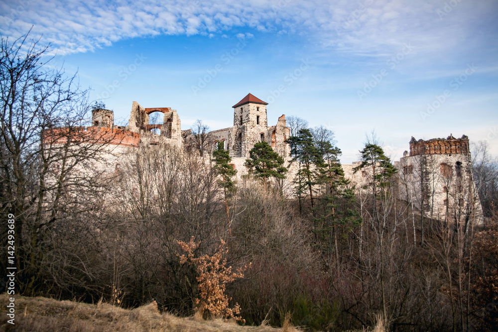 Castle Tenczyn. Ruins old medieval castle in Rudno, Poland. Characteristic type of construction the castle in the style of eagle nests.