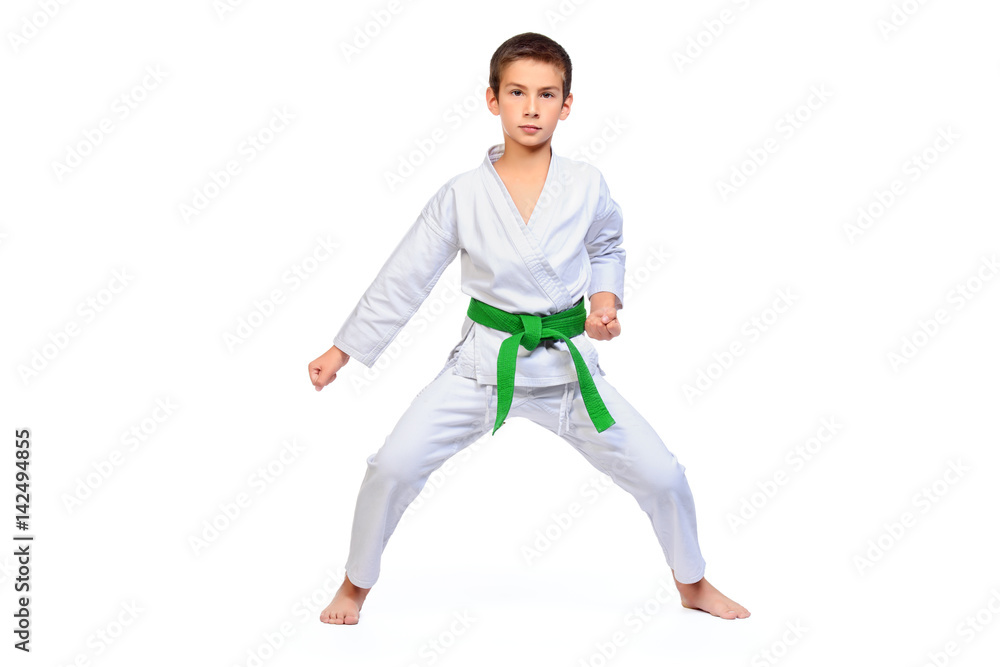 karate boy portrait karate boy portrait