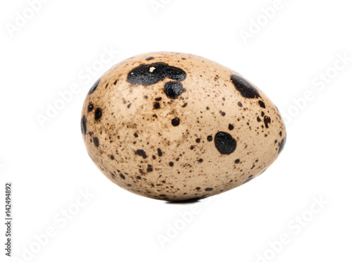 Fresh quail egg isolated on white background