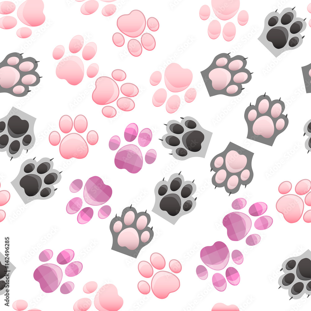Fototapeta premium cat and dog paw print with claws