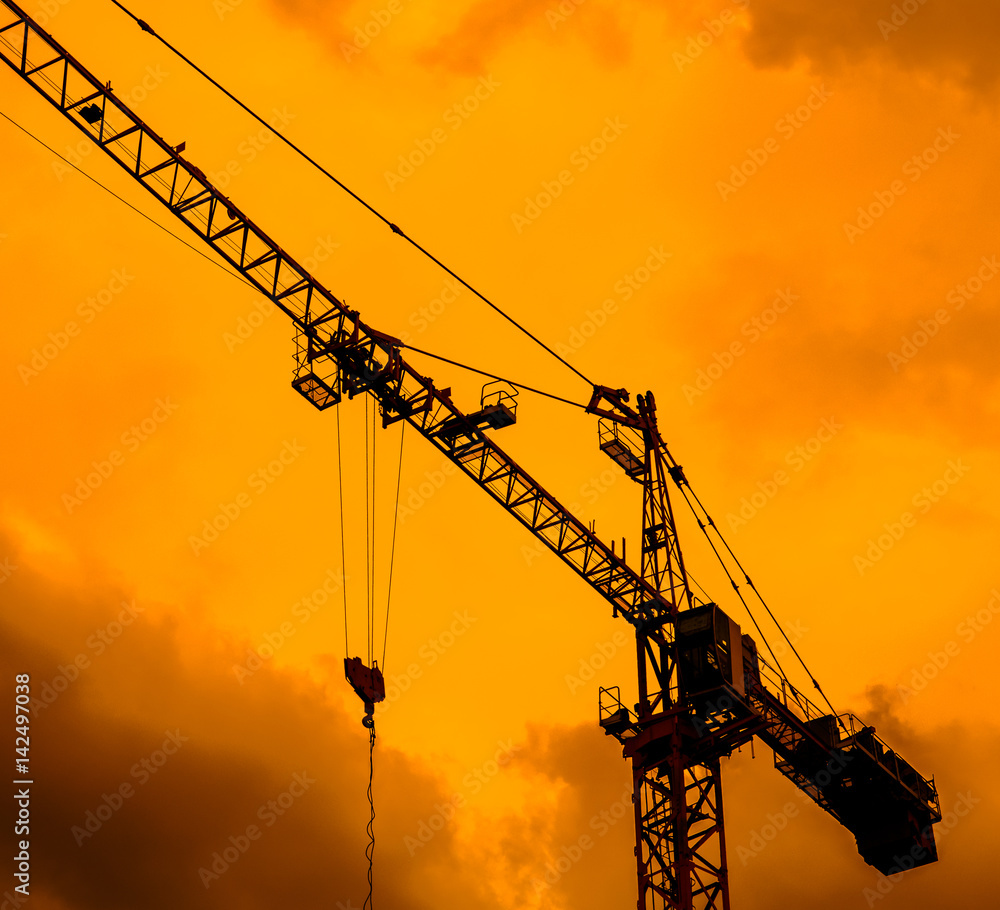 Crane Crane