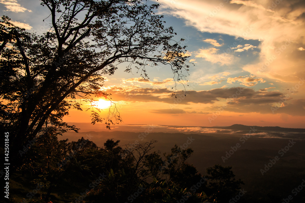 Silhouettes of  trees and sunset sky in the winter on Phu Kradueng national park in Thailand