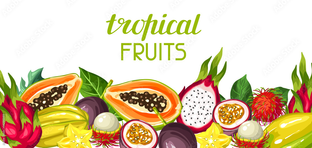 Banner with exotic tropical fruits. Illustration of asian plants Banner with exotic tropical fruits. Illustration of asian plants